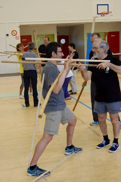 Tai Chi et Qi Gong - Canteleu - Rencontres Normandes 2018