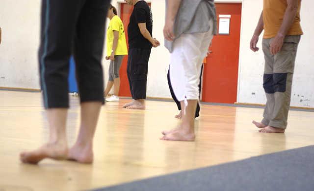 Tai Chi et Qi Gong - Canteleu - Rencontres Normandes 2018