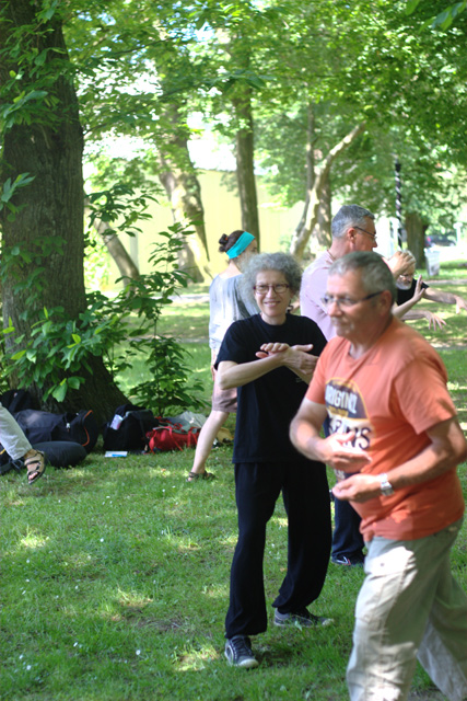Tai Chi et Qi Gong - Canteleu - Rencontres Normandes 2018