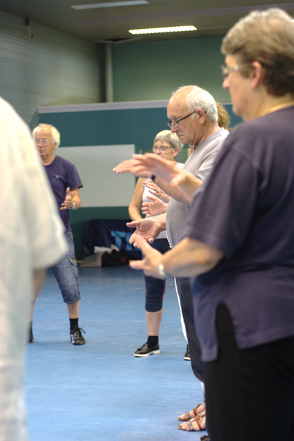 Tai Chi et Qi Gong - Canteleu - Rencontres Normandes 2018