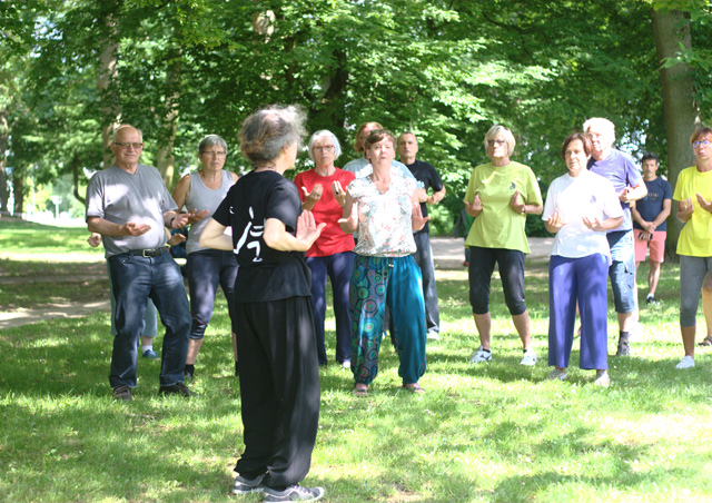 Tai Chi et Qi Gong - Canteleu - Rencontres Normandes 2018