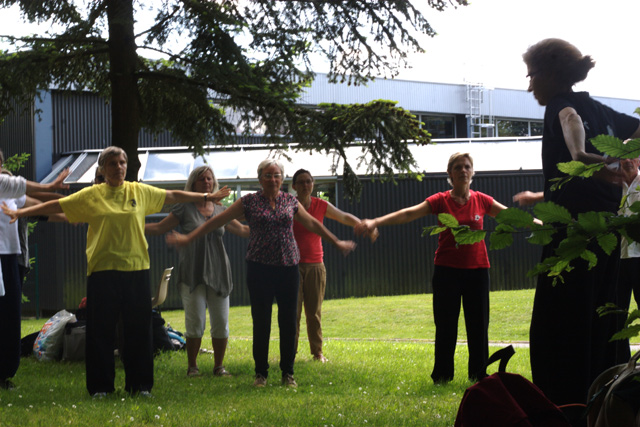 Tai Chi et Qi Gong - Canteleu - Rencontres Normandes 2018