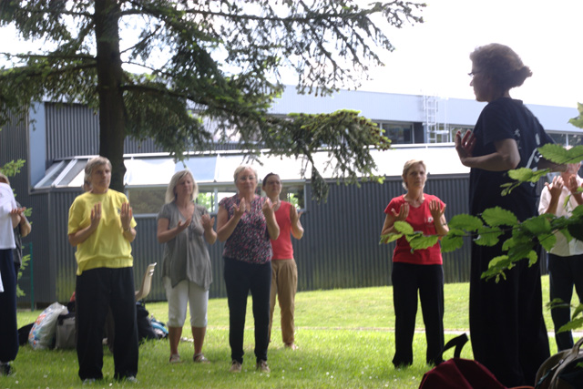 Tai Chi et Qi Gong - Canteleu - Rencontres Normandes 2018