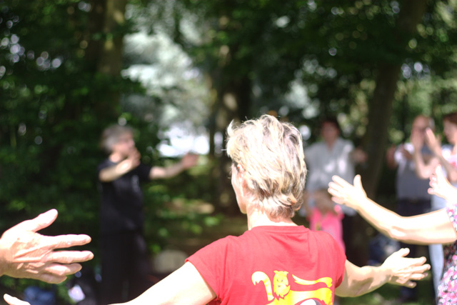 Tai Chi et Qi Gong - Canteleu - Rencontres Normandes 2018