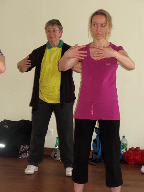 Tai Ji Quan - Canteleu - satge G.Saby 2012
