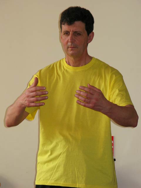 Tai Ji Quan - Canteleu - satge G.Saby 2012