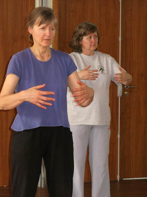 Tai Ji Quan - Canteleu - satge G.Saby 2012