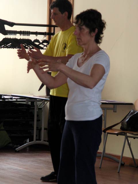 Tai Ji Quan - Canteleu - satge G.Saby 2012