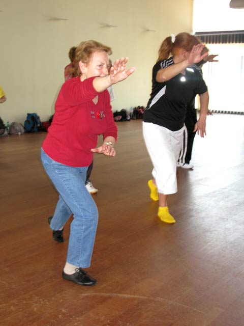Tai Ji Quan - Canteleu - satge G.Saby 2012