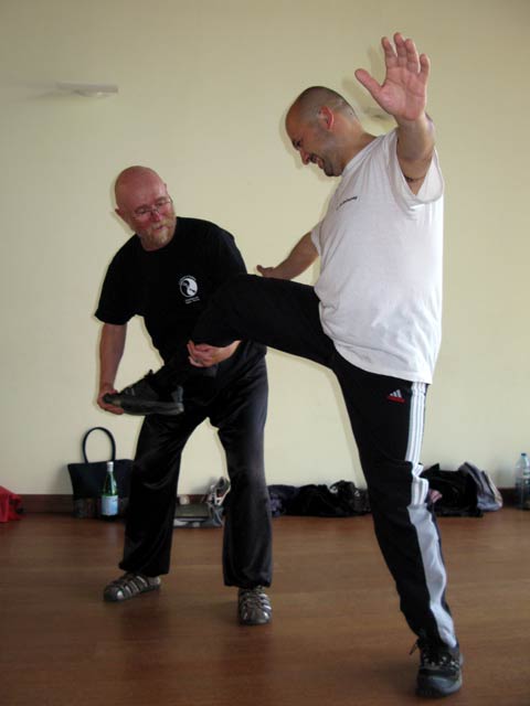 Tai Ji Quan - Canteleu - satge G.Saby 2012