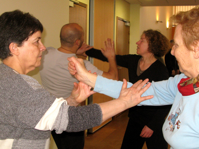 Tai Ji Quan - Canteleu - satge G.Saby 2013