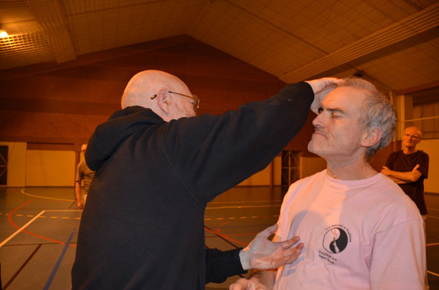 Tai Ji Quan - Canteleu - stage G.Saby 2014