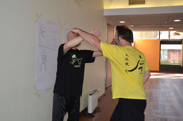 Tai Ji Quan - Canteleu - stage G.Saby 2014