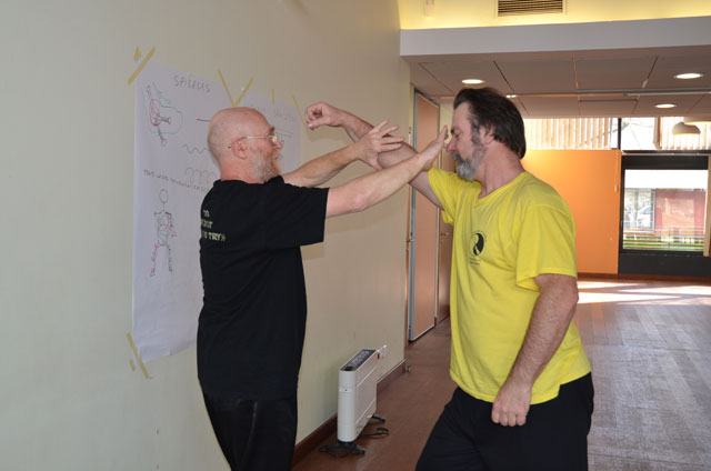 Tai Ji Quan - Canteleu - stage G.Saby 2014