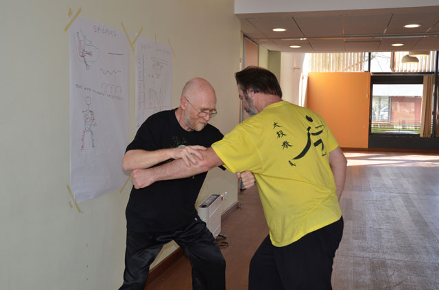 Tai Ji Quan - Canteleu - stage G.Saby 2014