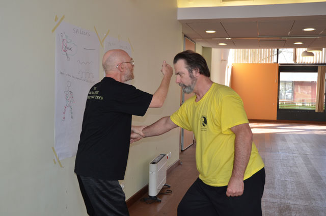 Tai Ji Quan - Canteleu - stage G.Saby 2014