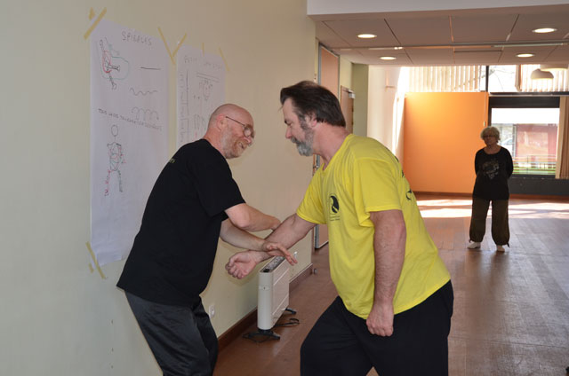 Tai Ji Quan - Canteleu - stage G.Saby 2014