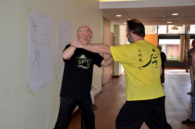 Tai Ji Quan - Canteleu - stage G.Saby 2014