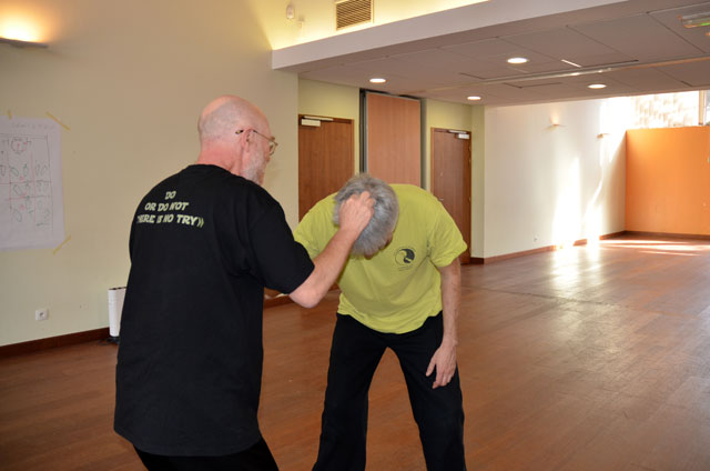 Tai Ji Quan - Canteleu - stage G.Saby 2014