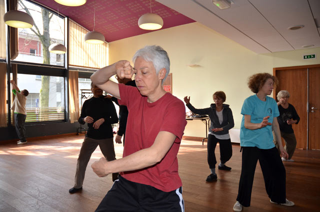 Tai Ji Quan - Canteleu - stage G.Saby 2014