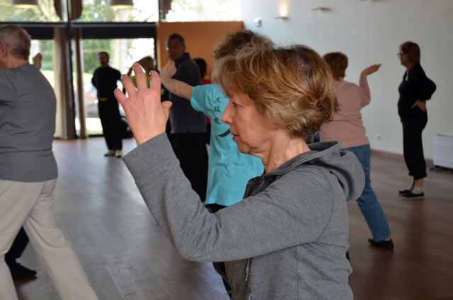 Tai Ji Quan - Canteleu - stage G.Saby 2014
