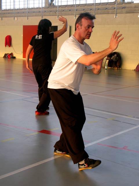 Tai Ji Quan Yang Lu Chan- Canteleu 2012