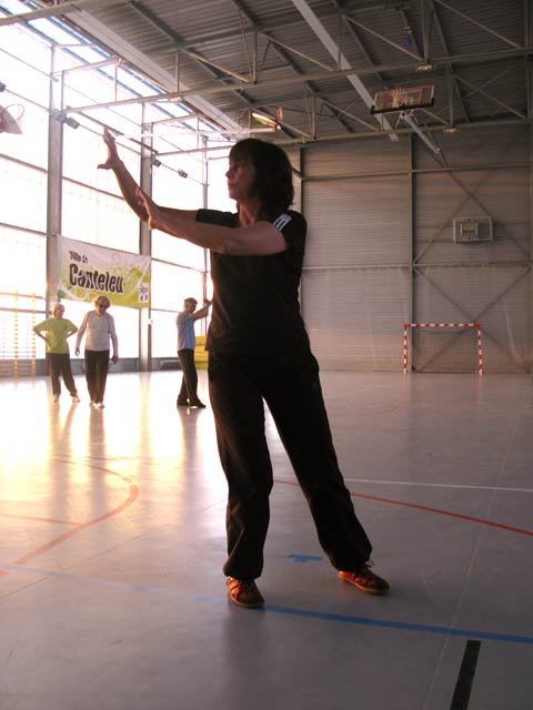 Tai Ji Quan Yang Lu Chan- Canteleu 2012