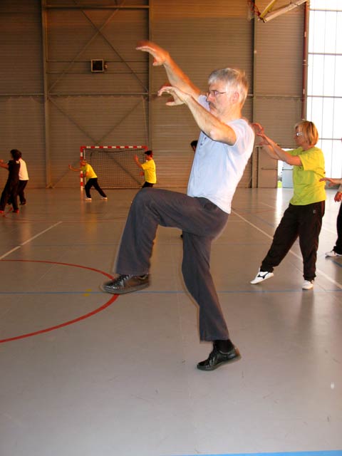 Tai Ji Quan Yang Lu Chan- Canteleu 2012