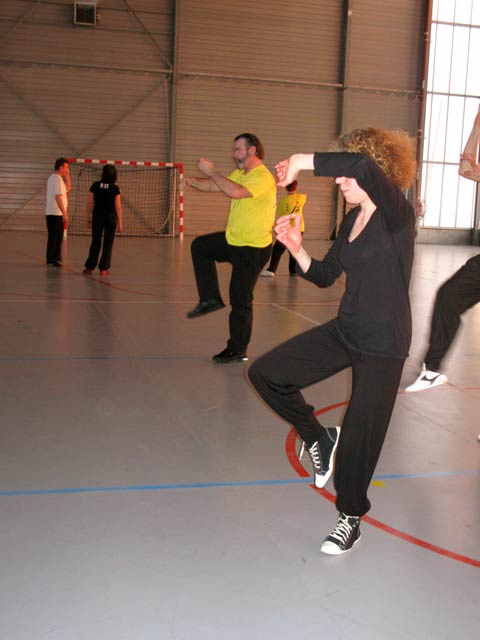 Tai Ji Quan Yang Lu Chan- Canteleu 2012
