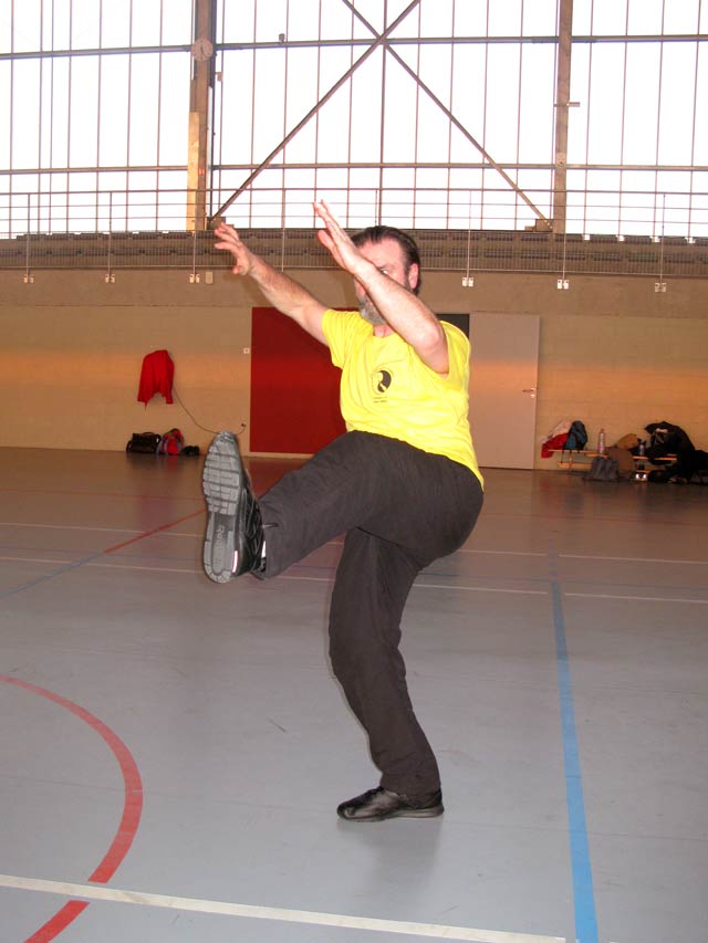 Tai Ji Quan Yang Lu Chan- Canteleu 2012