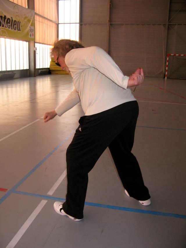 Tai Ji Quan Yang Lu Chan- Canteleu 2012